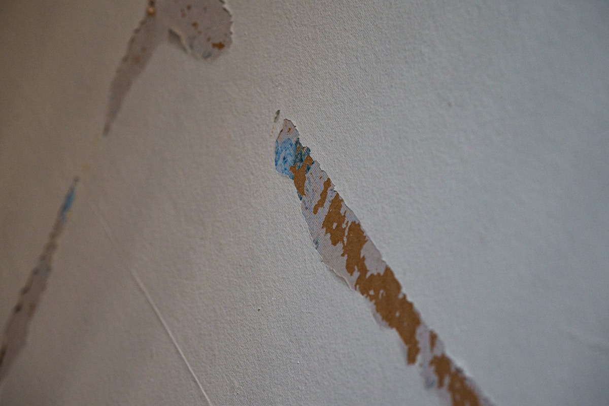 Flood Cleanup service in Tracy, CA